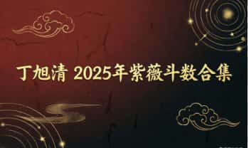 丁旭清《2025年紫薇斗数合集》视频课+音频课+课件