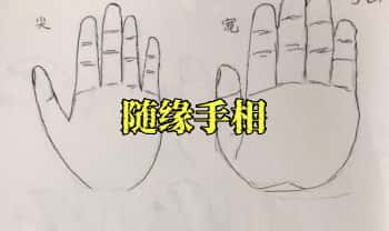 《随缘手相》53页.PDF电子版