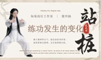 知易而行梁兴扬《站桩养生功》7集视频+课件