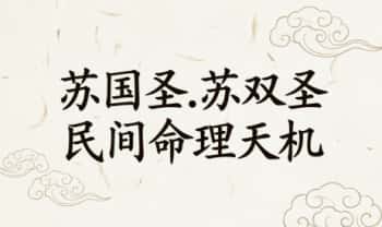 苏国圣.苏双圣《民间命理天机》216页.PDF电子版