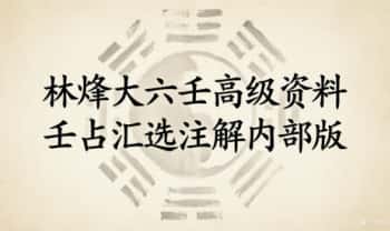 林烽高级内部版《六壬断案 壬占汇选》经典案例集 229页.PDF电子版