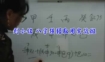 刘小铭《网络八字强弱取用实战班》 8集视频课+课件