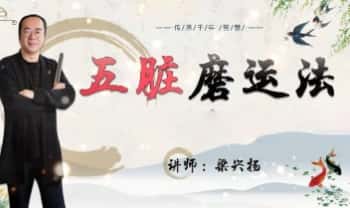 知易而行 梁兴杨《五脏磨运法》视频7集