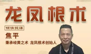 焦平《龙根术凤根术》4套视频课大合集