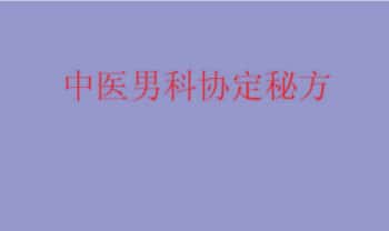《中医男科协定秘方》23页.PDF电子版