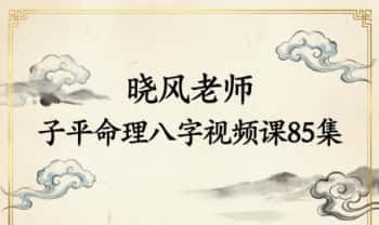 晓风老师《子平命理八字》视频课85集