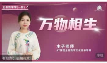 木子老师《万物相生》全息数字学统筹学一阶 5集视频课