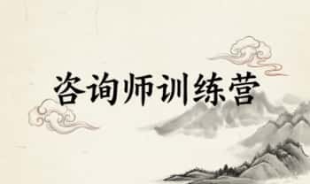 洛谦老师《第一期 咨询师训练营》视频课11集
