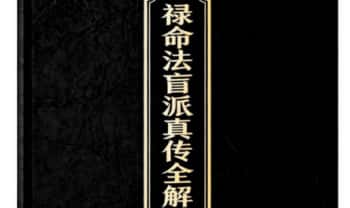 杨春波《禄命法盲派真传全解》盲派九窍断命法 410页.PDF电子版