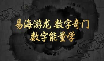 易海游龙《数字奇门 数字能量学》174页.PDF电子版