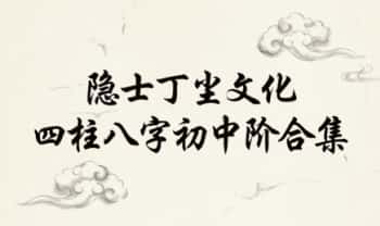 隐士丁尘文化《四柱八字初中阶合集》视频74集