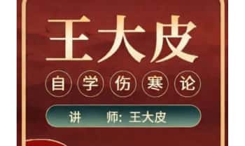 王大皮《零基础专业拆解伤寒论》视频课48节