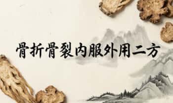 骨折骨裂内服外用二方-家传秘方 电子文档