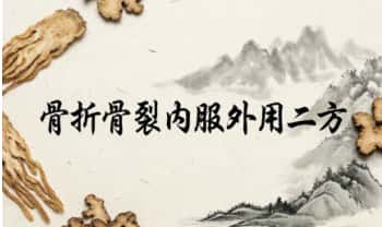 骨折骨裂内服外用二方-家传秘方 电子文档