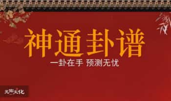 吴资泓《神通卦谱》教学视频24集