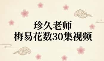 如是禅说‮珍久‬老师《梅‮易花‬数》30集视频