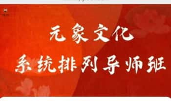 元象文化《系统排列导师班》家排课程 33集视频