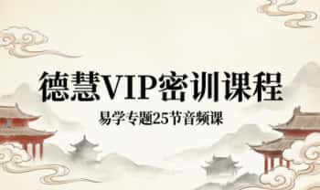 德慧《VIP密训课程 易学专题》25节音频课