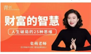 张萌老师《财富的智慧》第十期13集视频课