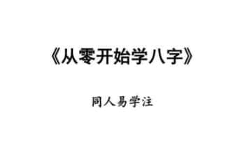 同人易学《从零开始学八字》112页.PDF电子版