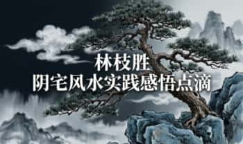 林枝胜《阴宅风水实践感悟点滴》109页.PDF电子版