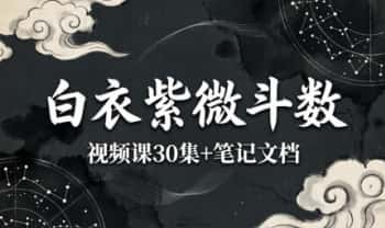 白衣《紫微斗数》视频课30集+笔记文档