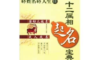 谢海东《十二属相起名宝典》213页.PDF电子版
