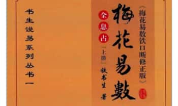 铁书生-全息占《梅花易数铁口断修正版》上册+下册.PDF电子版
