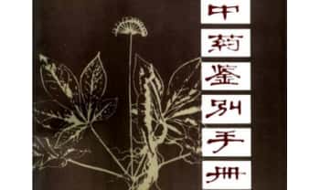《中药鉴别手册》1-3册.PDF电子版