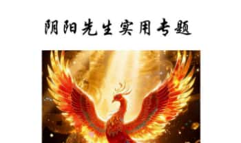 梓渊《阴阳先生实用法符专题》 视频+文档