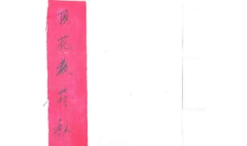 符咒手抄本《顶花教符秘》31页.PDF电子版