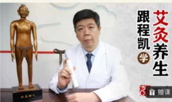 《跟程凯学艾灸养生》视频课30集